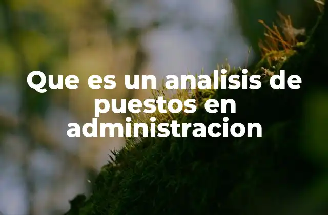 Que es un Analisis de Puestos en Administracion 2 La importancia de comprender las funciones organizacionales