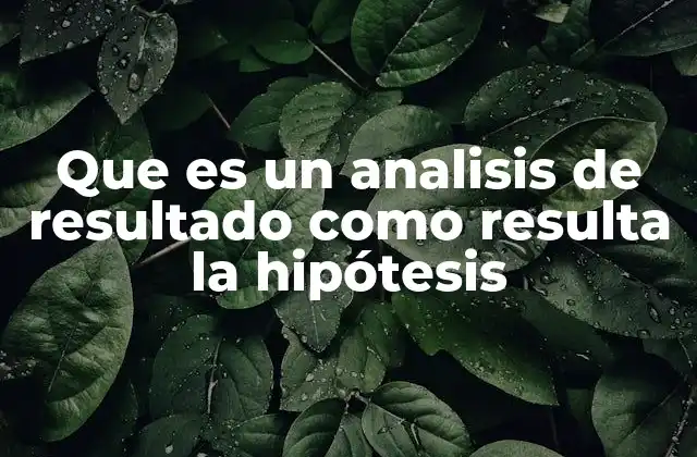 Que es un Analisis de Resultado como Resulta la Hipótesis