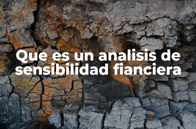 Que es un Analisis de Sensibilidad Fianciera