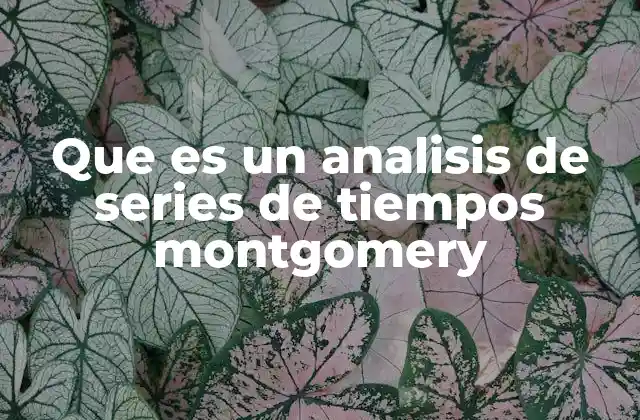Que es un Analisis de Series de Tiempos Montgomery
