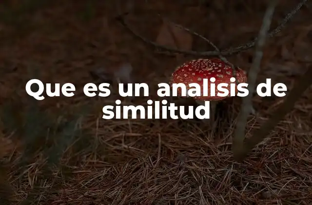 Que es un Analisis de Similitud