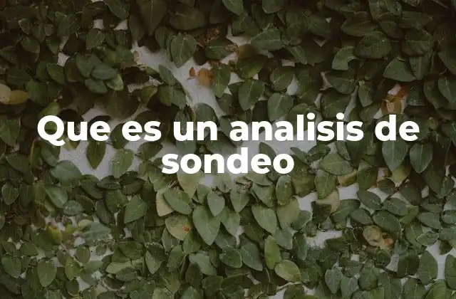 Que es un Analisis de Sondeo