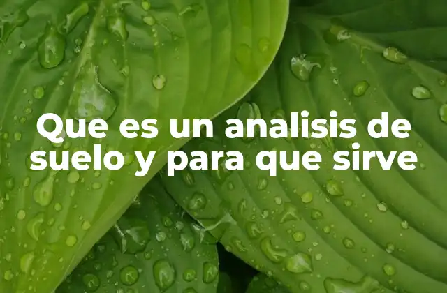 Que es un Analisis de Suelo y para que Sirve