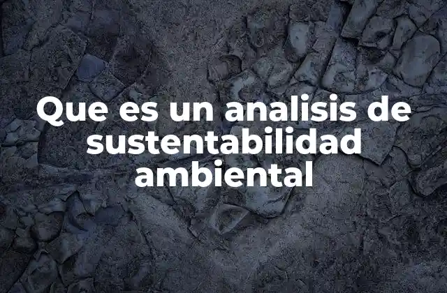 Que es un Analisis de Sustentabilidad Ambiental