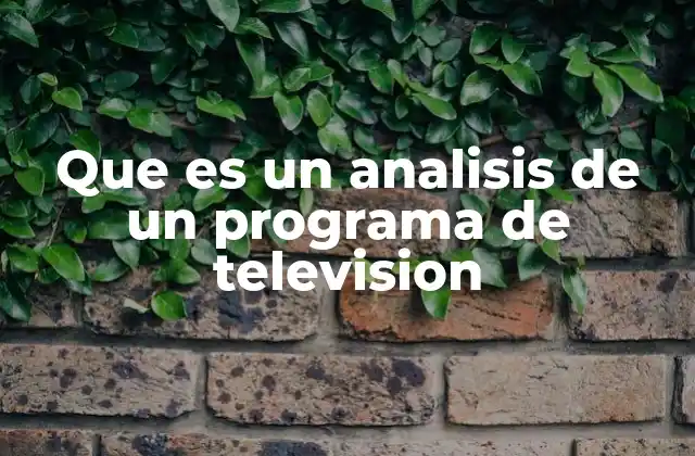Que es un Analisis de un Programa de Television