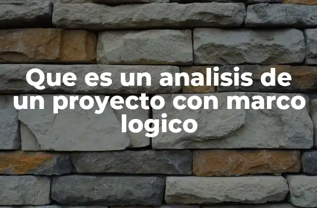 Que es un Analisis de un Proyecto con Marco Logico