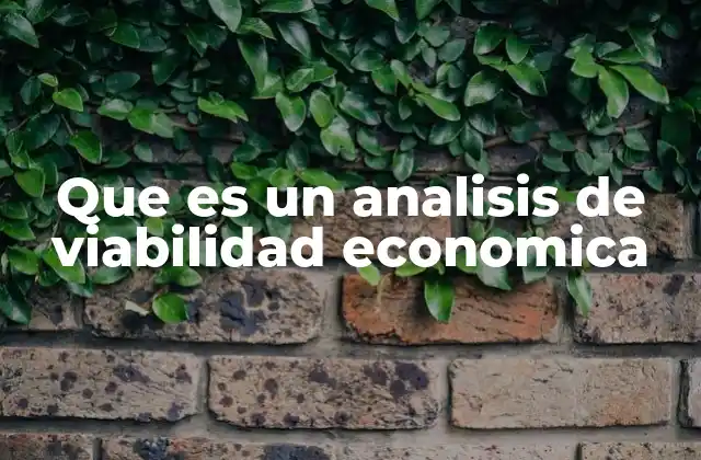 Que es un Analisis de Viabilidad Economica