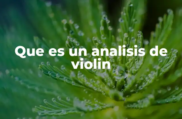 Que es un Analisis de Violin