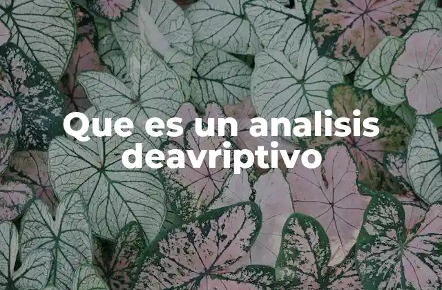 Que es un Analisis Deavriptivo