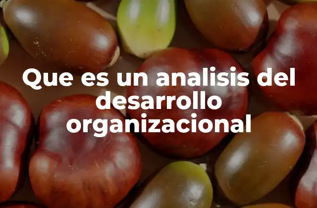 Que es un Analisis Del Desarrollo Organizacional