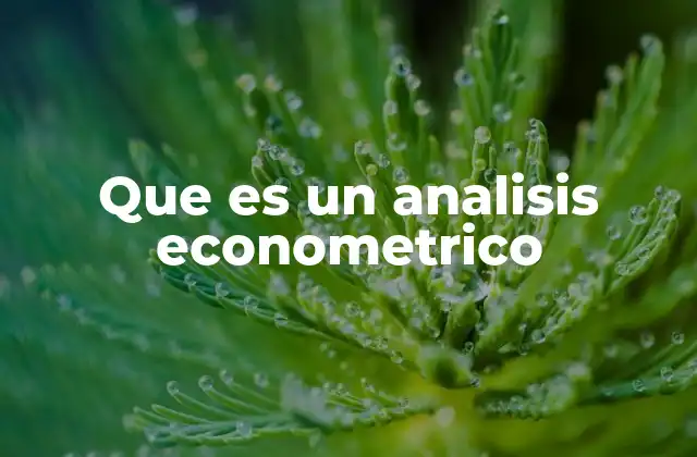 Que es un Analisis Econometrico