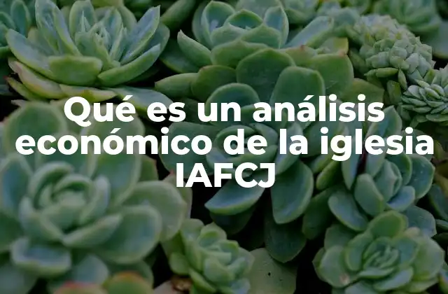 Qué es un Análisis Económico de la Iglesia Iafcj