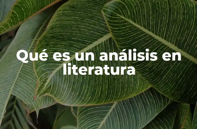 Qué es un Análisis en Literatura