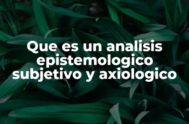 Que es un Analisis Epistemologico Subjetivo y Axiologico