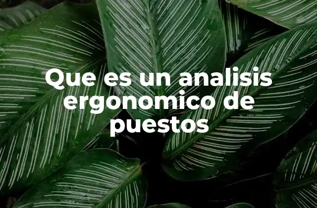 Que es un Analisis Ergonomico de Puestos