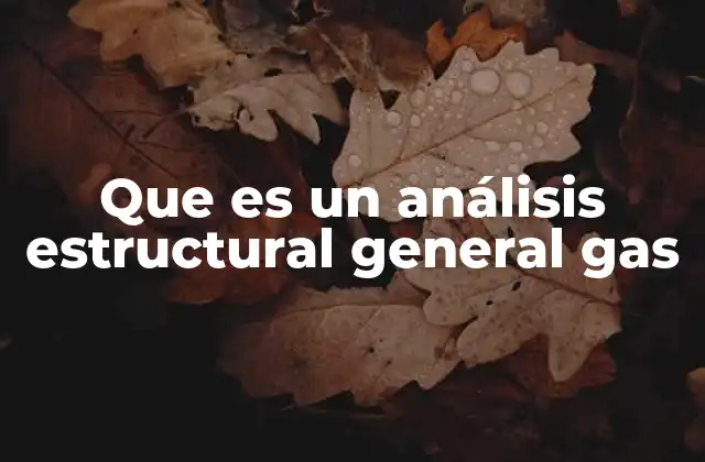 Que es un Análisis Estructural General Gas