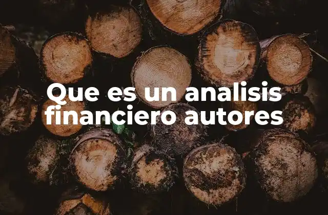 Que es un Analisis Financiero Autores