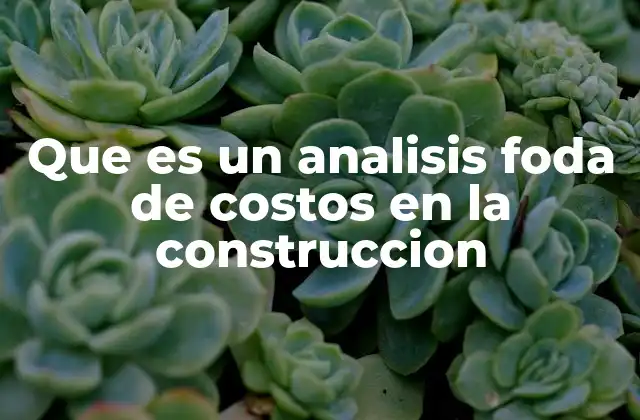 Que es un Analisis Foda de Costos en la Construccion