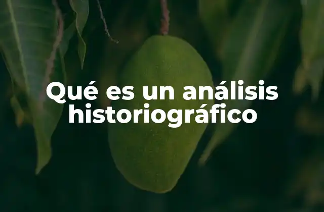 Qué es un Análisis Historiográfico 2 El rol del análisis historiográfico en la investigación histórica