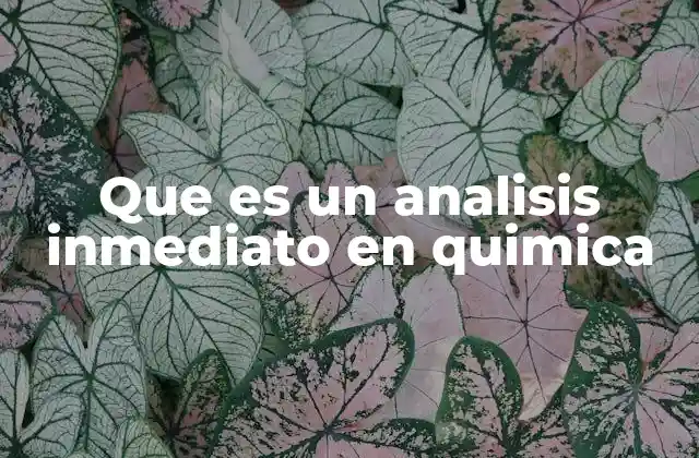 Que es un Analisis Inmediato en Quimica