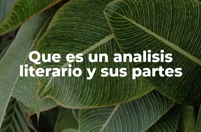 Que es un Analisis Literario y Sus Partes