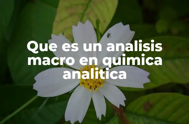 La importancia del análisis macro en la química analítica moderna
