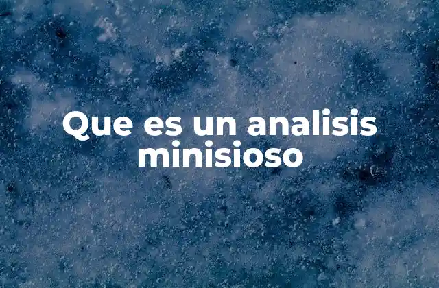 Que es un Analisis Minisioso