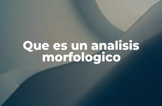 Que es un Analisis Morfologico