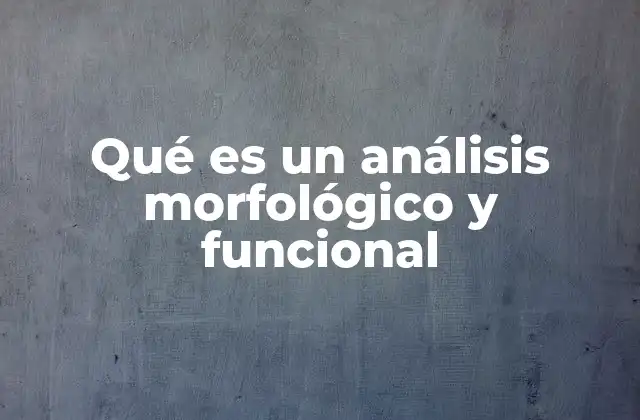 Qué es un Análisis Morfológico y Funcional