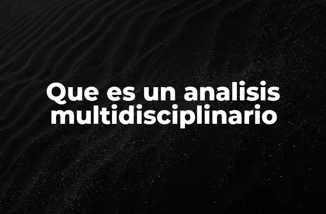 Que es un Analisis Multidisciplinario