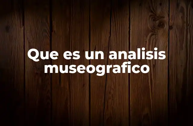 Que es un Analisis Museografico