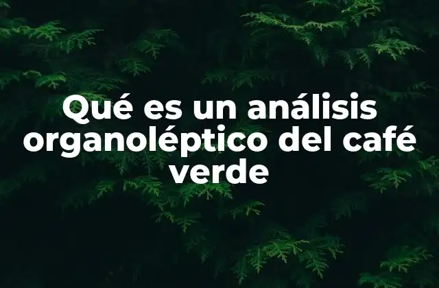 Qué es un Análisis Organoléptico Del Café Verde