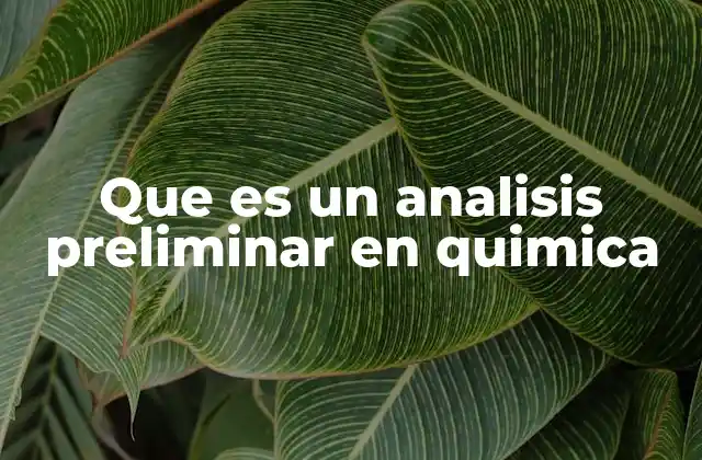 Que es un Analisis Preliminar en Quimica 2 La importancia del estudio inicial en la química