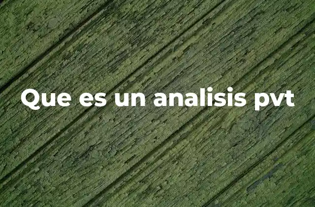 Que es un Analisis Pvt