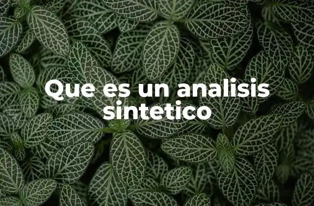 Que es un Analisis Sintetico