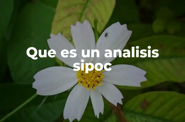 Que es un Analisis Sipoc