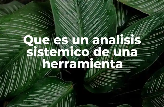 Que es un Analisis Sistemico de una Herramienta