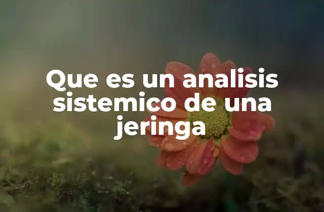 Que es un Analisis Sistemico de una Jeringa