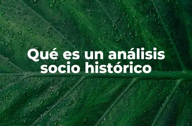 Qué es un Análisis Socio Histórico