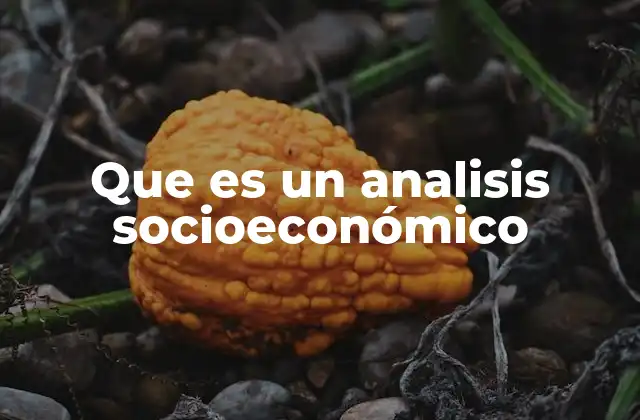 Que es un Analisis Socioeconómico