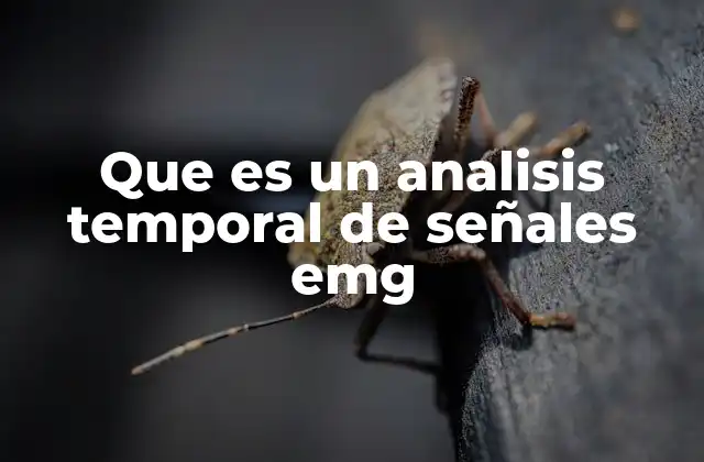 Que es un Analisis Temporal de Señales Emg 2 Cómo se aplica el estudio de señales EMG sin mencionar directamente el análisis temporal