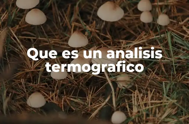 Que es un Analisis Termografico