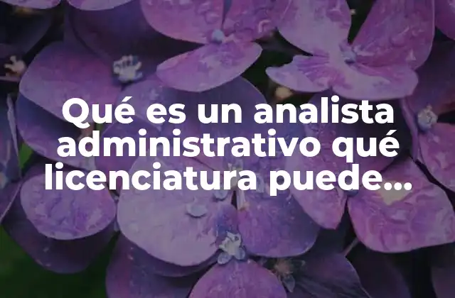 Cómo se relaciona el perfil de un analista administrativo con diferentes áreas académicas