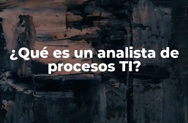 ¿qué es un Analista de Procesos Ti?