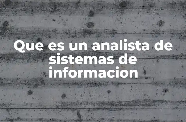 Que es un Analista de Sistemas de Informacion