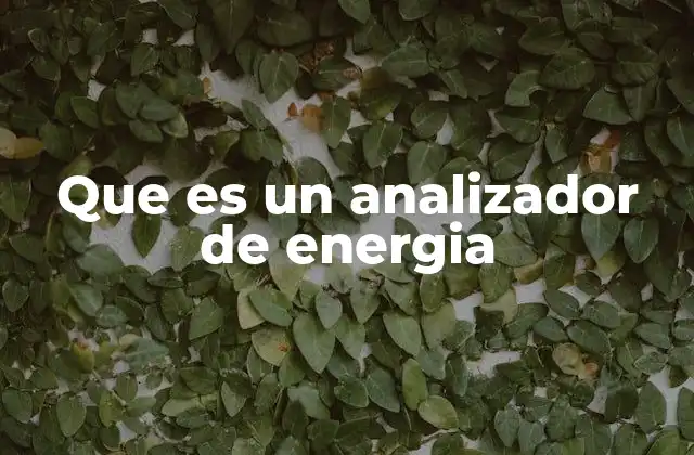 Que es un Analizador de Energia