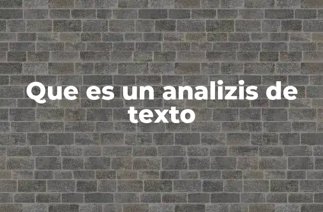 Que es un Analizis de Texto