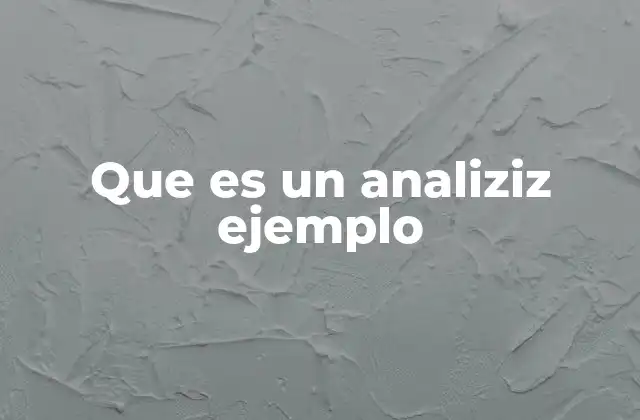 Que es un Analiziz Ejemplo