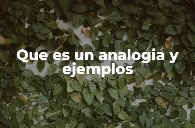 Que es un Analogia y Ejemplos