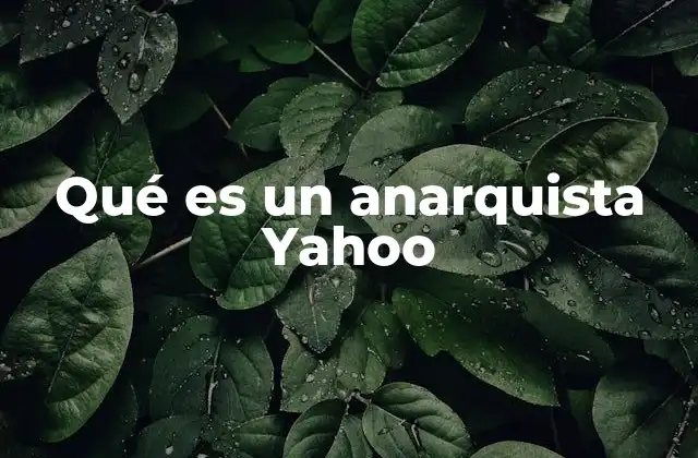 Qué es un Anarquista Yahoo